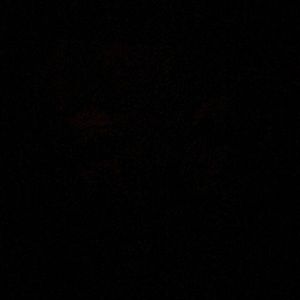 Meet your Posher, Philip